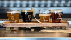 Vzorky piva Guinness vyráběného v Baltimoru (12. listopadu 2020) Vzorky piva Guinness vyráběného v Baltimoru (12. listopadu 2020)