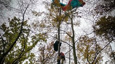 Hasiči v Odrách zachraňovali paraglidistu z vysokého stromu, zůstal zamotaný v... Hasiči v Odrách zachraňovali paraglidistu z vysokého stromu, zůstal zamotaný v...
