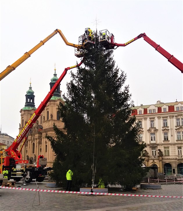 Praha má strom