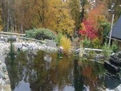 V ostravské zoo postrádají okrasné ryby. Pachatel způsobil škodu za... V ostravské zoo postrádají okrasné ryby. Pachatel způsobil škodu za...