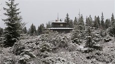 Sníh na šumavském Churáňově (20. listopadu 2020) Sníh na šumavském Churáňově (20. listopadu 2020)
