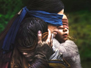 Kniha byla pedlohou seriálu Bird Box na Netflixu