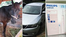 Zdarma je v nabídce také množství zvířat, které Státní veterinární správa... Zdarma je v nabídce také množství zvířat, které Státní veterinární správa...