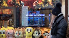 Jako na pouti. Zákazník si odnese plyšáka za to, že postřílel dost nepřátel ve... Jako na pouti. Zákazník si odnese plyšáka za to, že postřílel dost nepřátel ve...