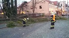 Silný vítr komplikoval dopravu, trhal střechy a způsobil řadu závad na... Silný vítr komplikoval dopravu, trhal střechy a způsobil řadu závad na...