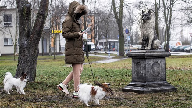 V estonskm Tallinnu vztyili sochu psho tulka Zorika, nkterm tamnm obyvatelm toti chyb. (16. prosince 2020)