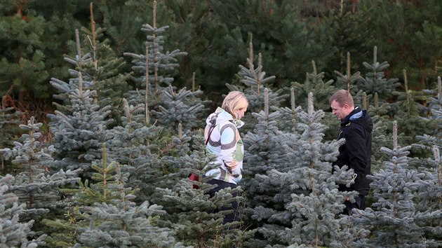 Už po třetí si do Varvažova přišli vybrat stromek Alena a Josef Štěpničkovi z Ústí.