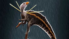 Nový druh dinosaura Ubirajara jubatus Nový druh dinosaura Ubirajara jubatus