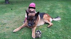 Šestiletý německý ovčák miluje děti, ale vůči neznámým lidem se chová tak, že... Šestiletý německý ovčák miluje děti, ale vůči neznámým lidem se chová tak, že...