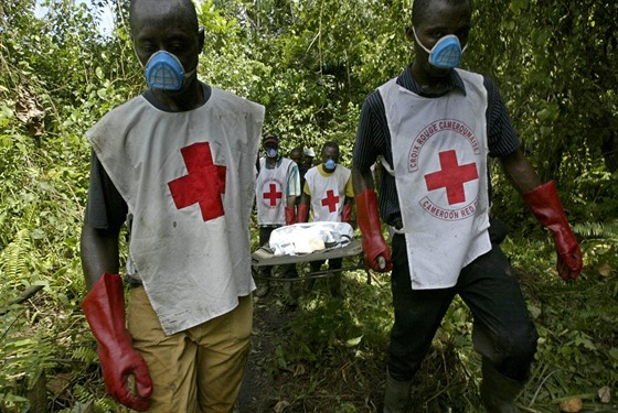 Kameruntí záchranái nesou jednu ob nehody. (Ilustraní snímek)