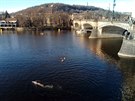 <p>I letos se konal závod otužilců u Žofína, avšak divácká účast nebyla z důvodu covidu doporučována, proto byla obezřetně nízká. Foto před hlavním závodem.</p> <p>I letos se konal závod otužilců u Žofína, avšak divácká účast nebyla z důvodu covidu doporučována, proto byla obezřetně nízká. Foto před hlavním závodem.</p>
