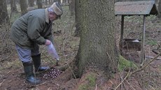 Osmasedmdesátiletý Oldřich Sedlář vyrazil i letos o Vánocích do lesa, aby... Osmasedmdesátiletý Oldřich Sedlář vyrazil i letos o Vánocích do lesa, aby...