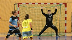 Plzeňský gólman Filip Herajt ve střehu v utkání proti Lovosicím. Plzeňský gólman Filip Herajt ve střehu v utkání proti Lovosicím.