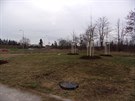 <p>Chvályhodná výsadba, ale překvapí omezené množství stromů i nepokosení trávy. Možná jiný majitel pozemku?</p> <p>Chvályhodná výsadba, ale překvapí omezené množství stromů i nepokosení trávy. Možná jiný majitel pozemku?</p>