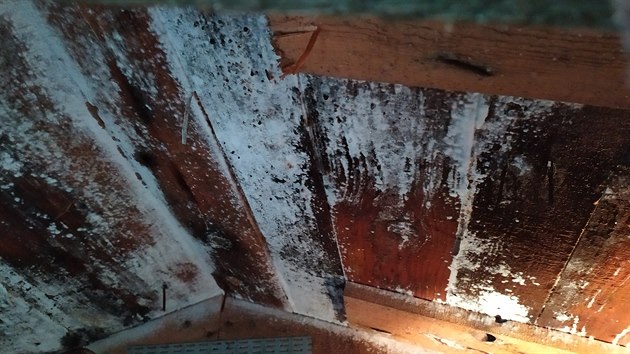 Mansardová střešní nástavba je natolik napadená dřevokaznou houbou, že hrozí její zřícení.