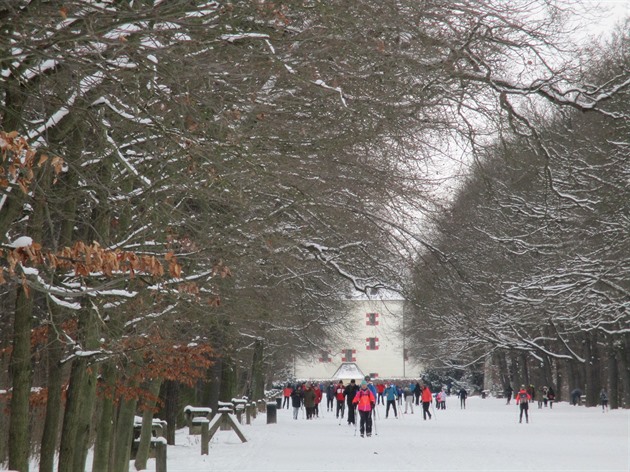Hvězda