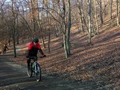 Cyklista v Kunratickém lese