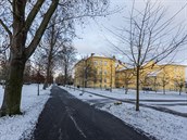 Sedm z devíti mohutných buků ve Smetanových sadech v Litovli půjde kvůli... Sedm z devíti mohutných buků ve Smetanových sadech v Litovli půjde kvůli...