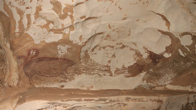 Archeologov v Indonsii objevili nejstar znmou jeskynn malbu. (14. ledna 2021)