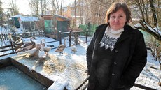 Hana Šimková z azylového centra pro týraná a hendikepovaná zvířata Ostrovský... Hana Šimková z azylového centra pro týraná a hendikepovaná zvířata Ostrovský...