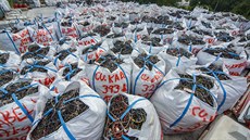 Manažerka Enviropolu: Baterie a akumulátory jsou problémem recyklace Manažerka Enviropolu: Baterie a akumulátory jsou problémem recyklace