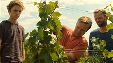 Prokop Zach, Kryštof Hádek a Lukáš Langmajer ve filmu 3Bobule (2020) Prokop Zach, Kryštof Hádek a Lukáš Langmajer ve filmu 3Bobule (2020)