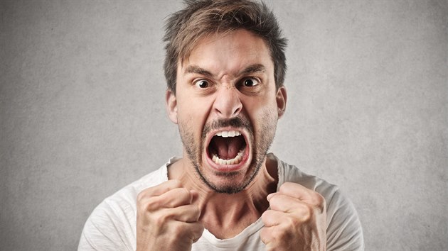 Vztek a štěstí patří k základním emocím. V čem tkví jejich podstata? Říkají...