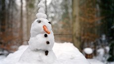 Co přinese lednový sníh pro zbytek roku? Pranostiky ukrývající zkušenosti... Co přinese lednový sníh pro zbytek roku? Pranostiky ukrývající zkušenosti...