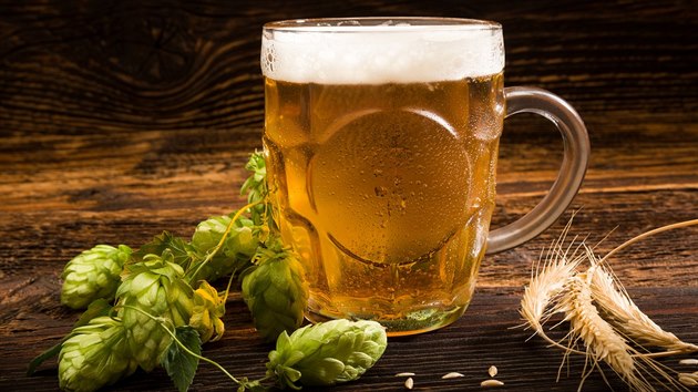 Ilustrační snímek