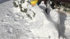 Sochy zvířat ze sněhu. (12. února 2021)