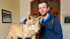 Šéf Správy CHKO Český ráj Jiří Klápště představuje vycpanou vlčici, která bude... Šéf Správy CHKO Český ráj Jiří Klápště představuje vycpanou vlčici, která bude...