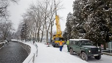 Dřevorubci kácí stromy u cyklostezky. Dřevorubci kácí stromy u cyklostezky.