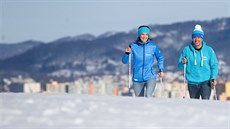 Pavla a Michal Francke s holemi Haakon Pavla a Michal Francke s holemi Haakon