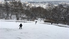 Tento svah je na pozemku, kde se nesmí provozovat aktivní sportování, tedy ani...