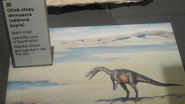 Otisk stopy eskho dinosaura z Lomu U Devti k.