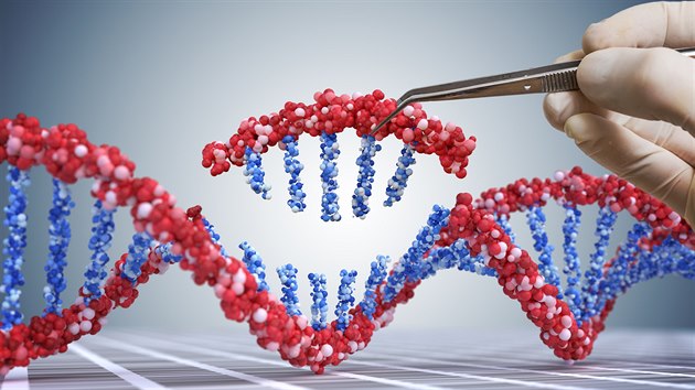 Genetick nky CRISPR, kter dokou lidskou DNA rozstihnout a zjednoduen
eeno opravit, vypnout nebo zapnout jakkoliv gen v organismu, jsou podle genetika
a molekulrnho biologa Michala Gaiho podobnm objevem jako kdysi penicilin.