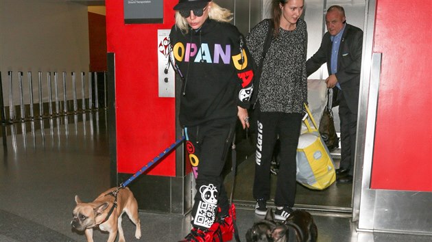 Lady Gaga a jej psi Asia a Koji na letiti v Los Angeles (2016)