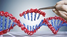 Genetické nky CRISPR, které dokáou lidskou DNA rozstihnout a...