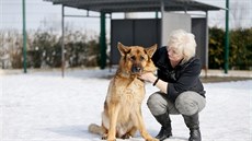 Laďka Dvořáková se společně s manželem Milanem stará aktuálně o německého... Laďka Dvořáková se společně s manželem Milanem stará aktuálně o německého...