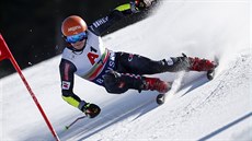 Chorvatský lyžař Filip Zubčič na trati obřího slalomu v Bansku Chorvatský lyžař Filip Zubčič na trati obřího slalomu v Bansku