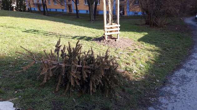 <p>Chotutická ulice v Praze 10 - Malešicích.</p>