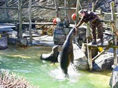 Zoo Zlín Lešná (březen 2021) Zoo Zlín Lešná (březen 2021)
