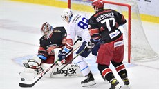 Brankář Hradce Králové Štěpán Lukeš likviduje šanci Sebastiána Maláta z Plzně,... Brankář Hradce Králové Štěpán Lukeš likviduje šanci Sebastiána Maláta z Plzně,...