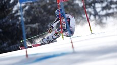 Slovenská lyžařka Petra Vlhová na trati obřího slalomu v Jasné Slovenská lyžařka Petra Vlhová na trati obřího slalomu v Jasné