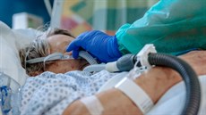 Z finančních darů chce nemocnice pořídit především ventilátory a dávkovače na... Z finančních darů chce nemocnice pořídit především ventilátory a dávkovače na...