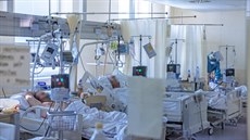 Bývalá ortopedie nemocnice Kolín se přeměnila na covidovou jednotku. (4. března... Bývalá ortopedie nemocnice Kolín se přeměnila na covidovou jednotku. (4. března...