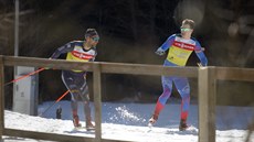 Vysočina Arena je rozdělena na tři odlišné bubliny, ve kterých se pohybují... Vysočina Arena je rozdělena na tři odlišné bubliny, ve kterých se pohybují...