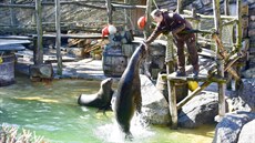 Zoo Zlín Lešná (březen 2021) Zoo Zlín Lešná (březen 2021)