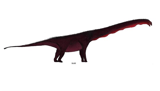Rekonstrukce pibliného vzezení stedn jurského ínského sauropoda...