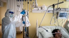 Lékař se stará o pacienta hospitalizovaného s covidem na JIP v Nemocnici... Lékař se stará o pacienta hospitalizovaného s covidem na JIP v Nemocnici...